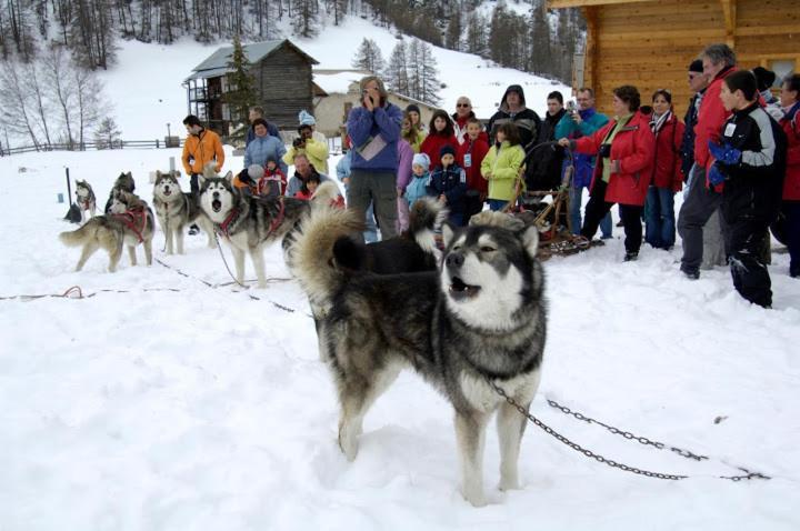 Le Chalet Du Queyras And Spa Molines-en-Queyras Eksteriør bilde