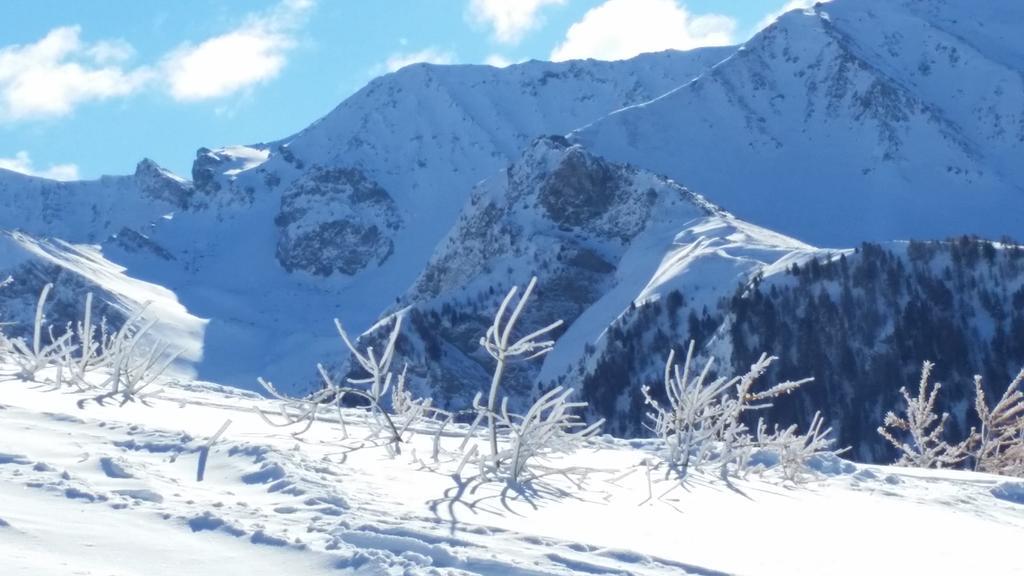 Le Chalet Du Queyras And Spa Molines-en-Queyras Eksteriør bilde